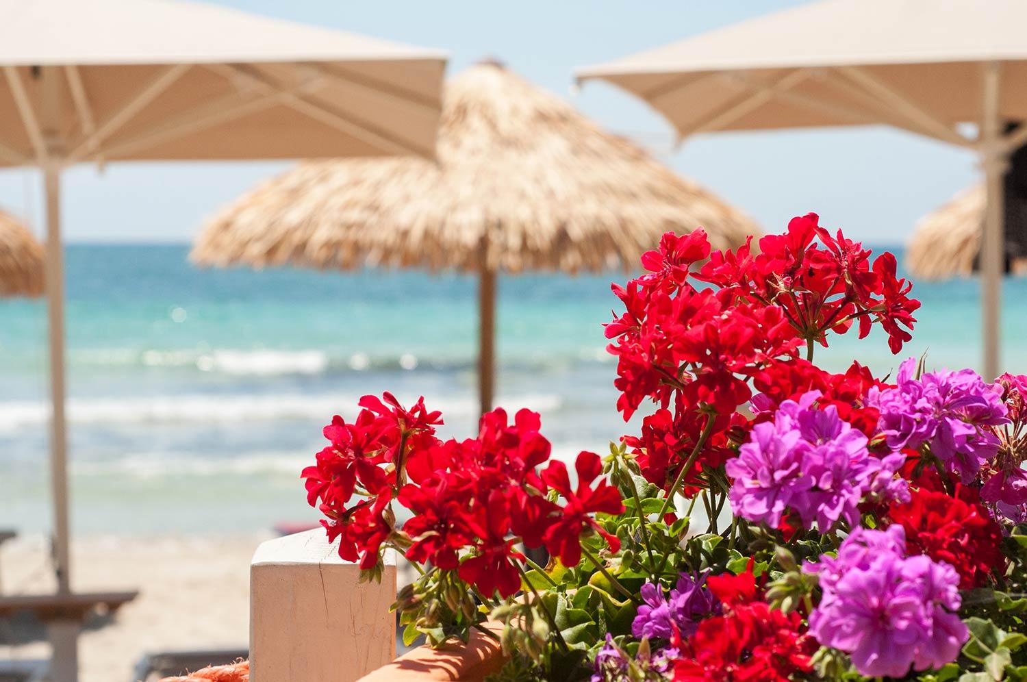 Conchiglia Azzurra Resort & Beach Porto Cesareo Buitenkant foto